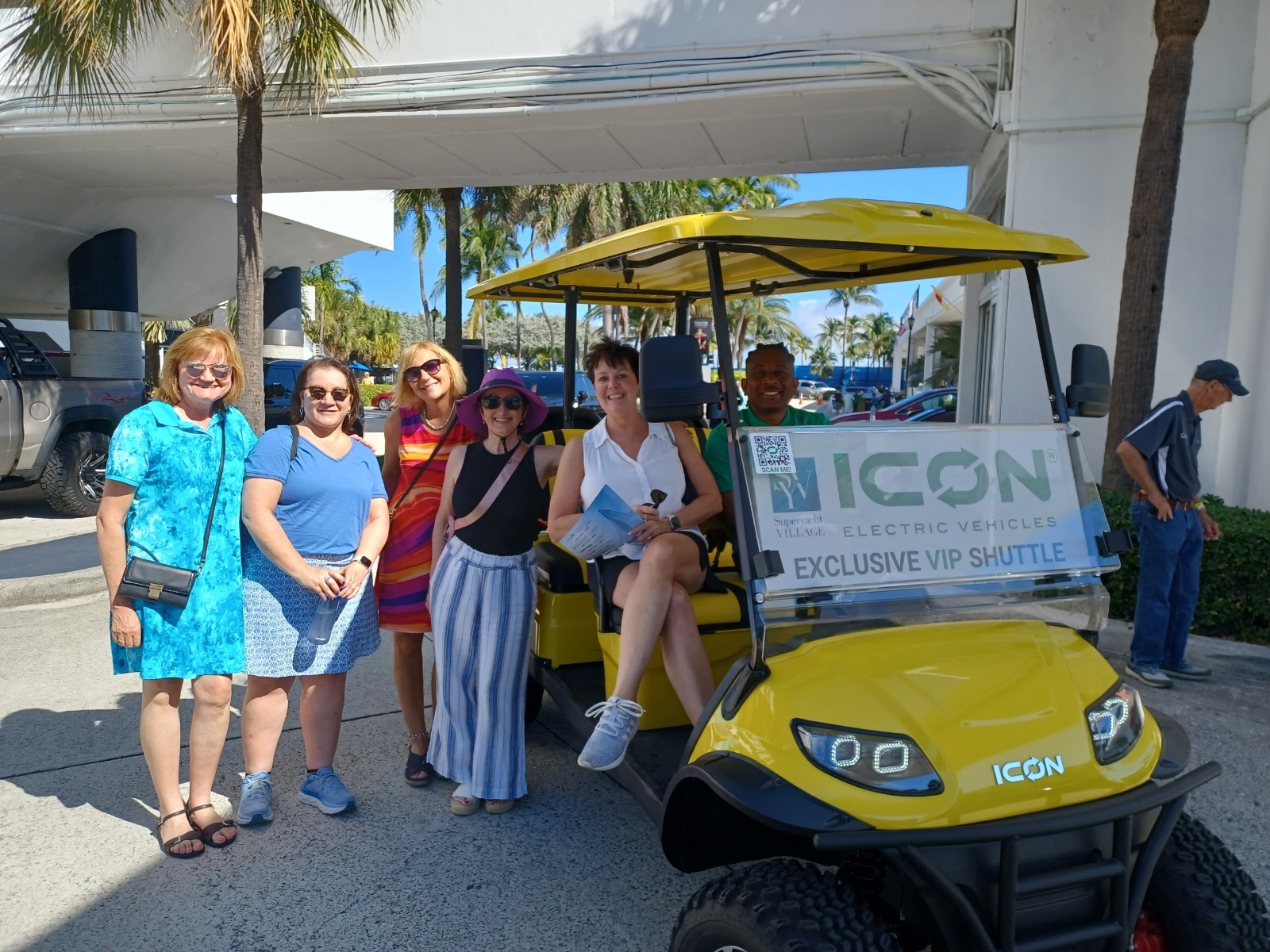 Miami Dolphins Boat and Golf Cart Flag