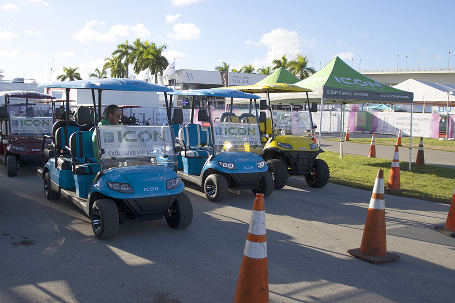 Miami Dolphins Boat and Golf Cart Flag