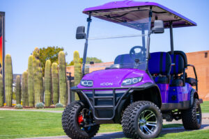 Best golf cart