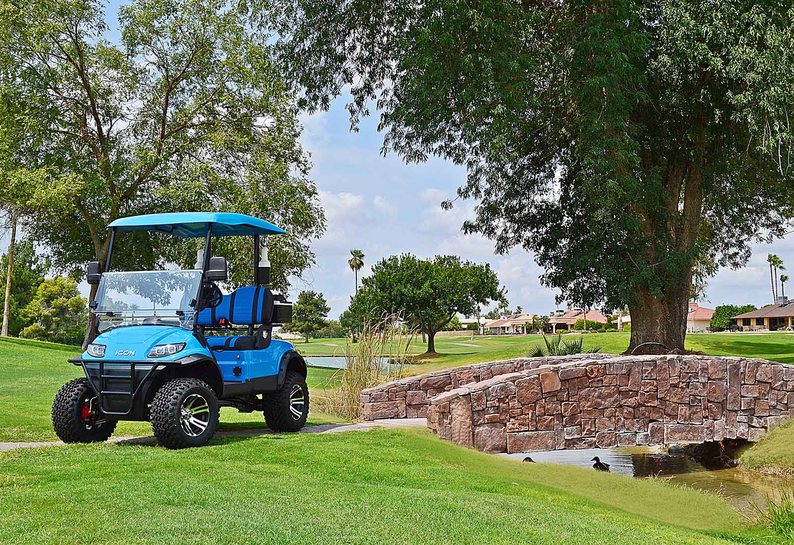 ICON Golf Cart i20L Gallery 2