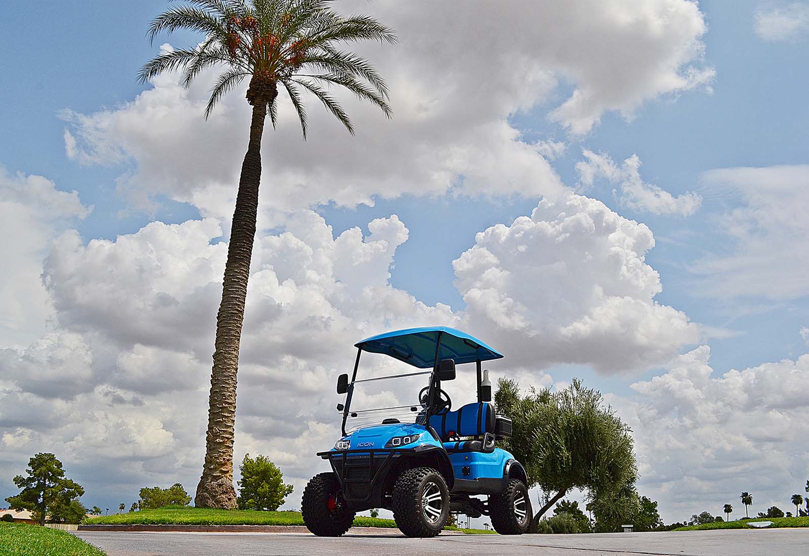 ICON Golf Cart i20L Gallery 7