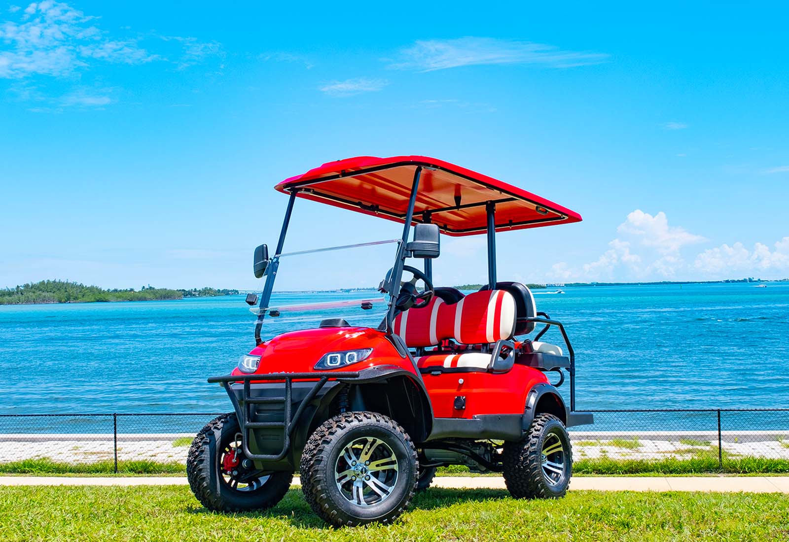 ICON Golf Cart i40L Gallery 2