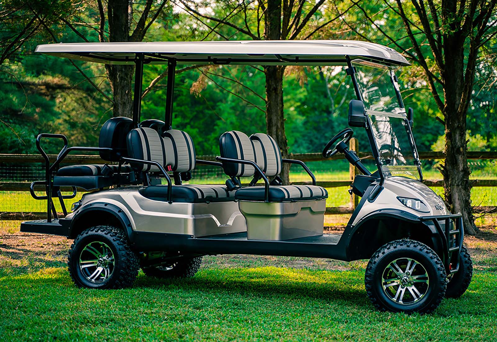 ICON Golf Cart i60L Features