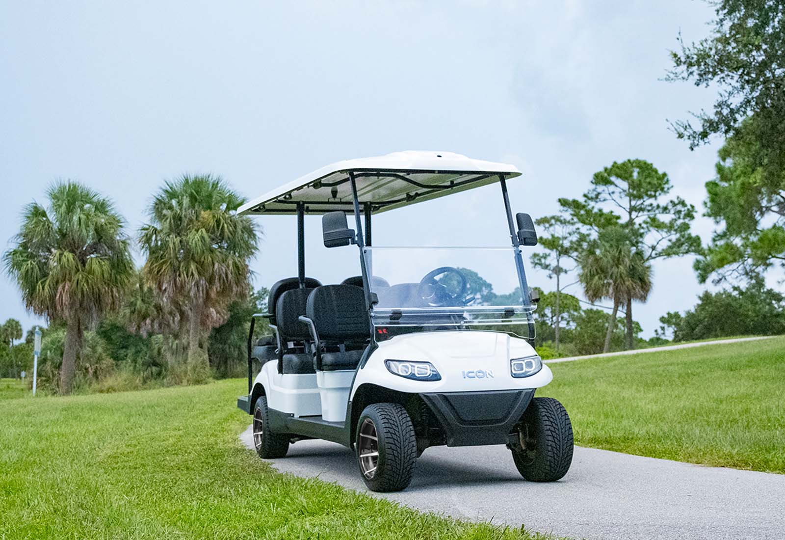 ICON-G60-Gas-Golf-Cart-1