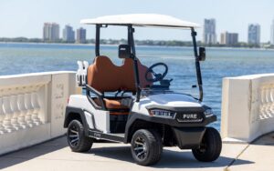 Pure EV Golf Carts for Sale