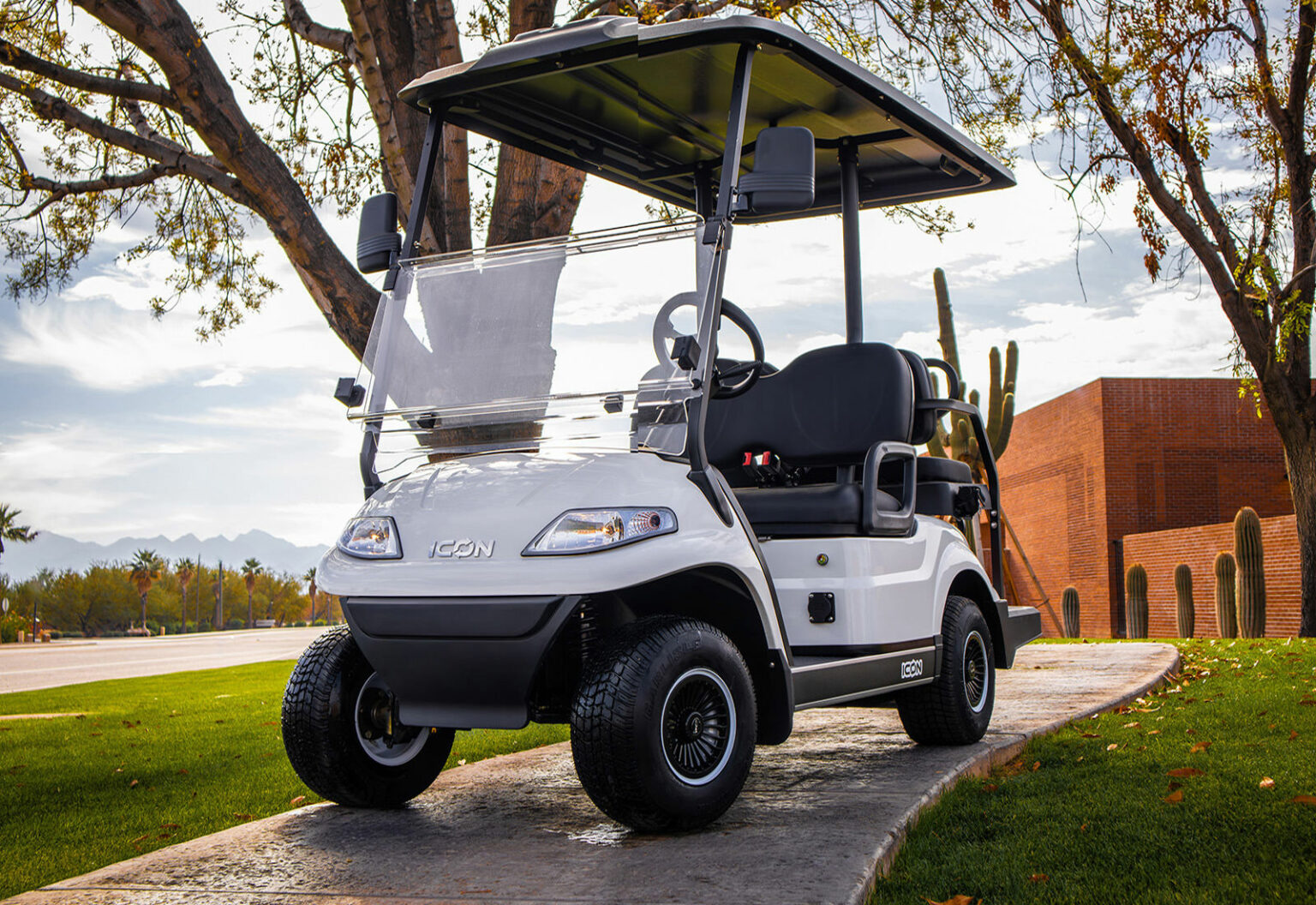 2025 ICON i40ECO Golf Carts for Sale