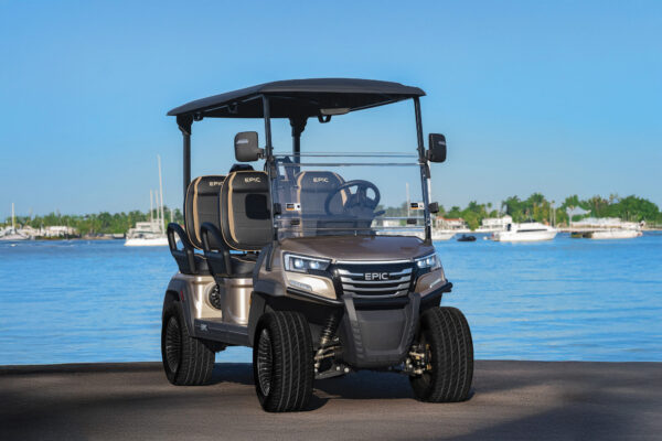 FX Series Golf Carts LSV For Sale