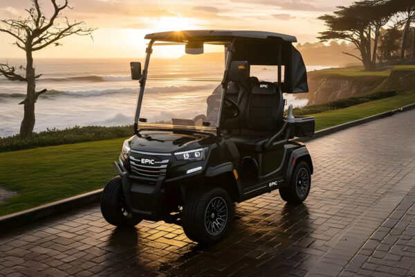 EPIC Golf Carts E20FX - 10