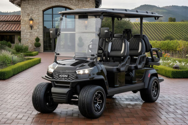 ICON X Golf Carts - 2